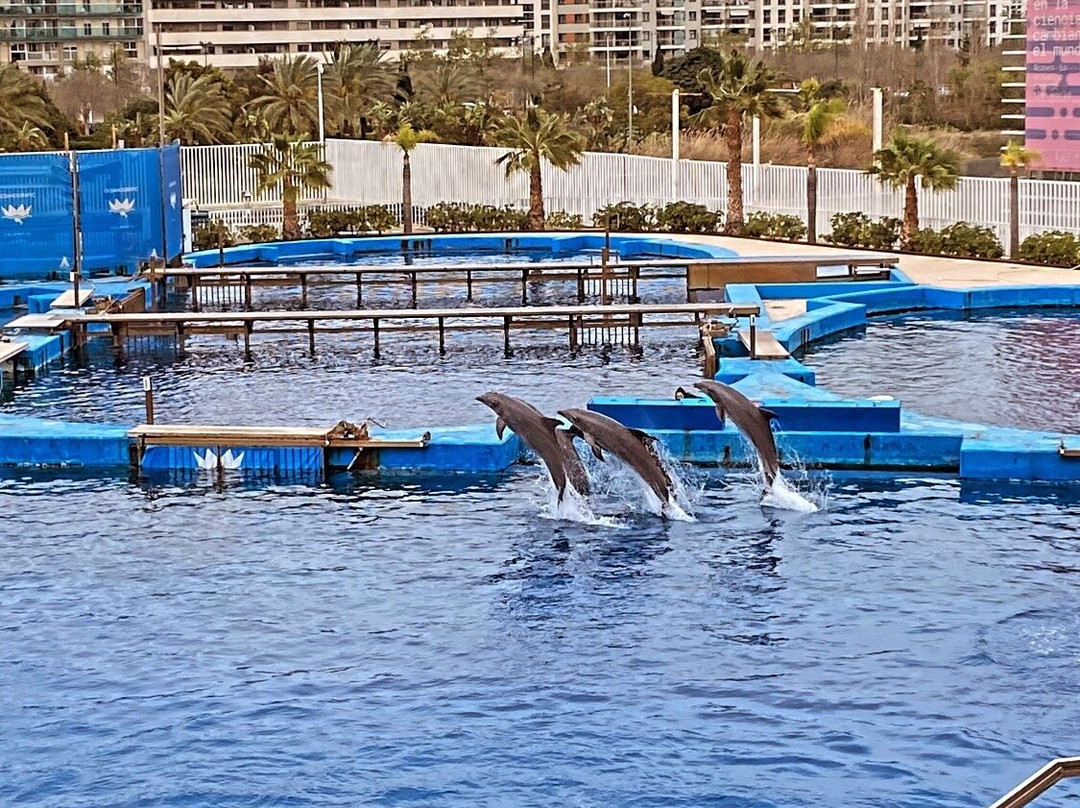 Zoo Aquarium de Valencia-巴伦西亚必去景点