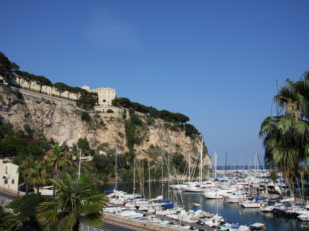 Port de Fontvieille-丰维耶必去景点