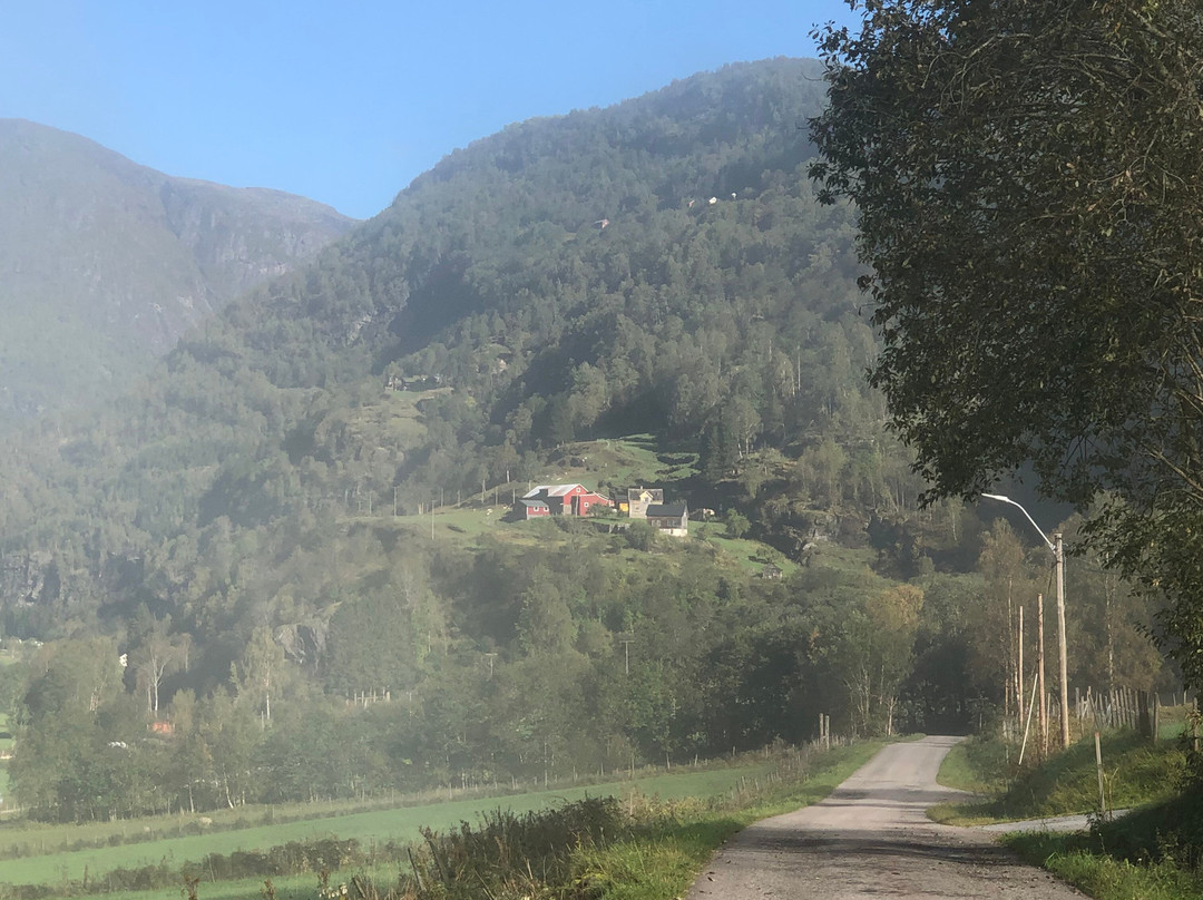 Skjolden Viewpoint景点图片