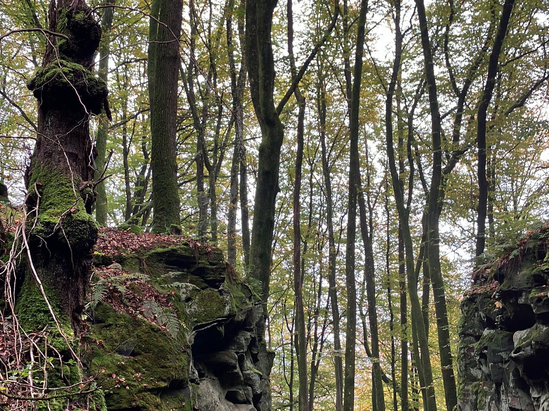 Naturparkzentrum Teufelsschlucht景点图片