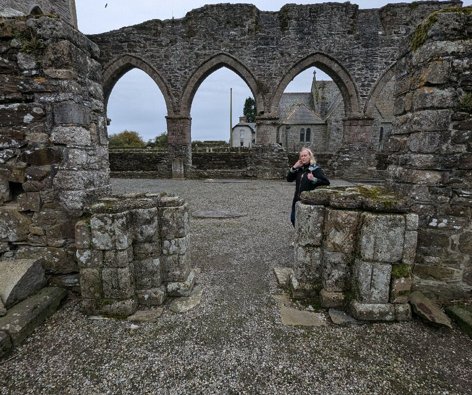 Baltinglass Abbey-Wicklow必去景点