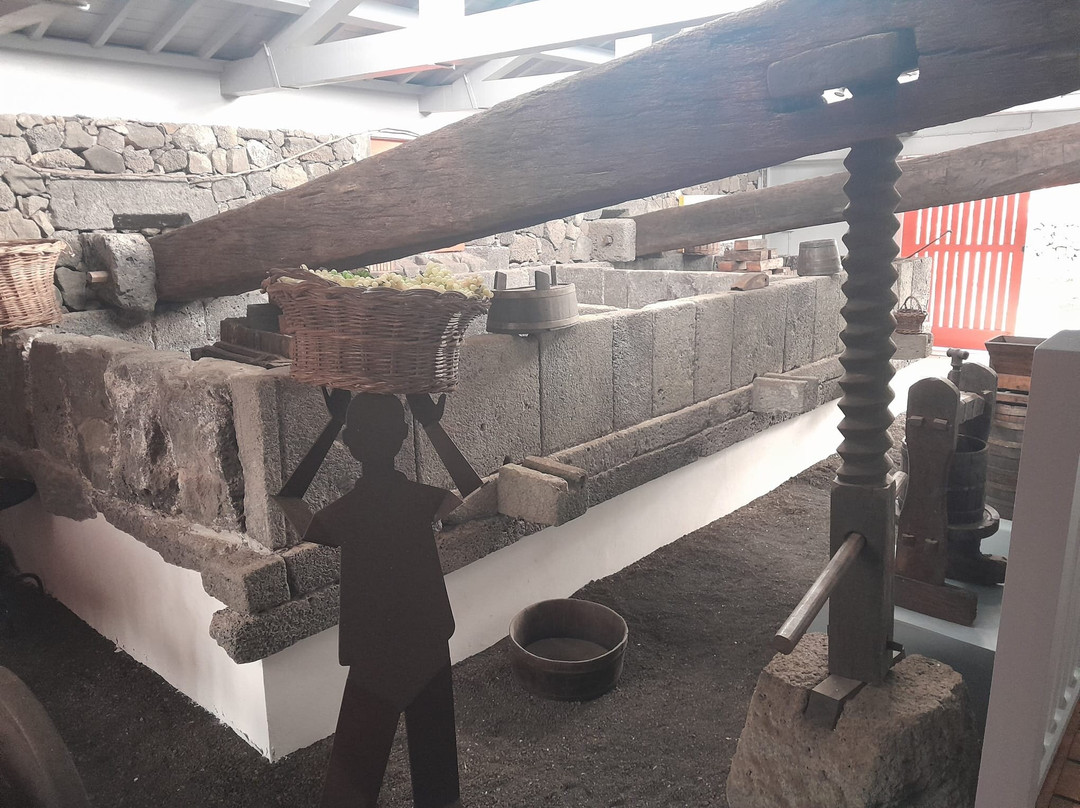 Pico Wine Museum-Pico必去景点