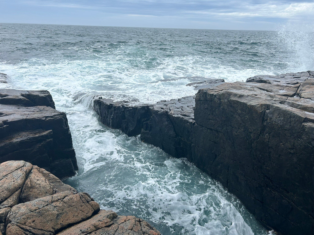 Schoodic Point景点图片