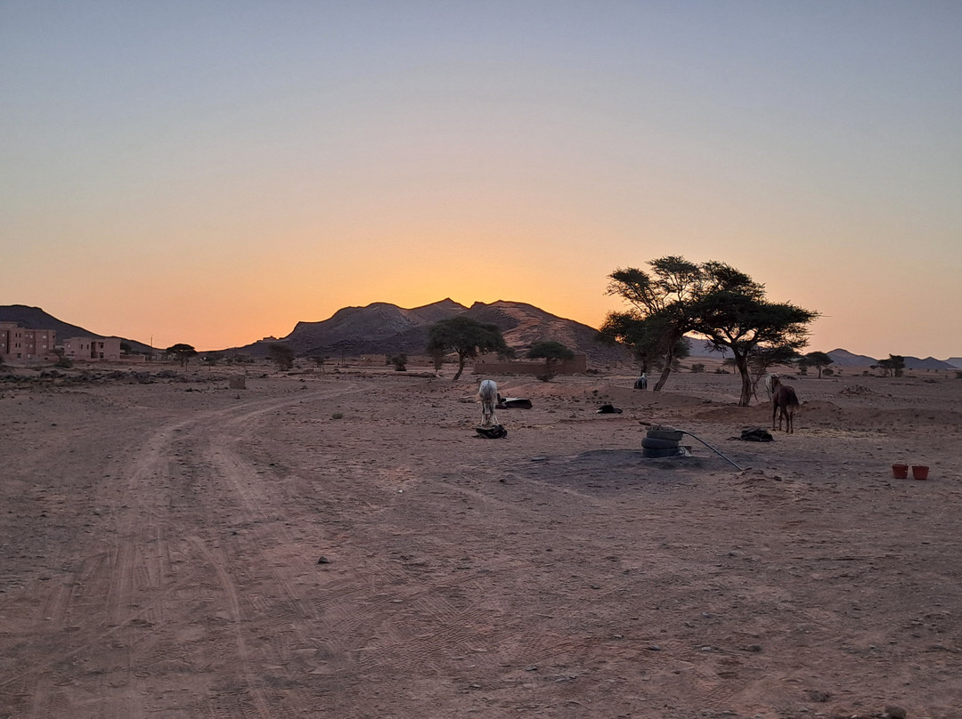 Auberge Kem Kem - Hamada kemkem - Auberge familiale