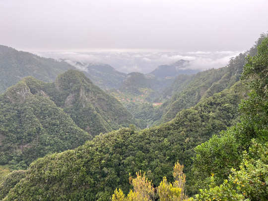 Madeira Escape Tours-马德拉群岛必去景点
