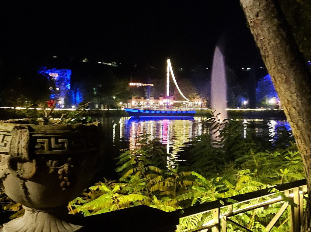 Centro Benessere Hotel Villa Leri主图
