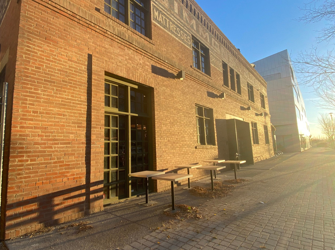 Explore downtown Calgary Culture and Nature Walking Tour with a local