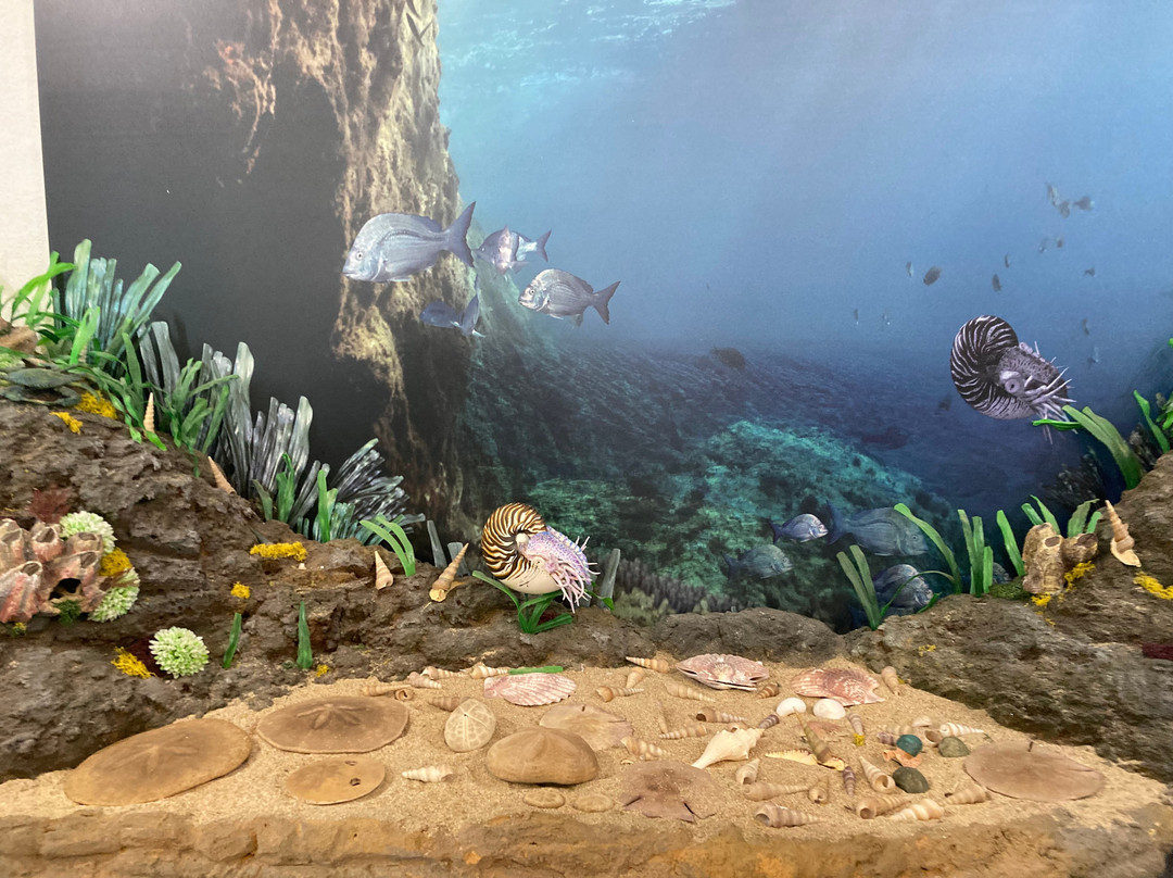 Museo Parc - Museo Paleontologico, Archeologico e Laboratorio didattico-Genoni必去景点