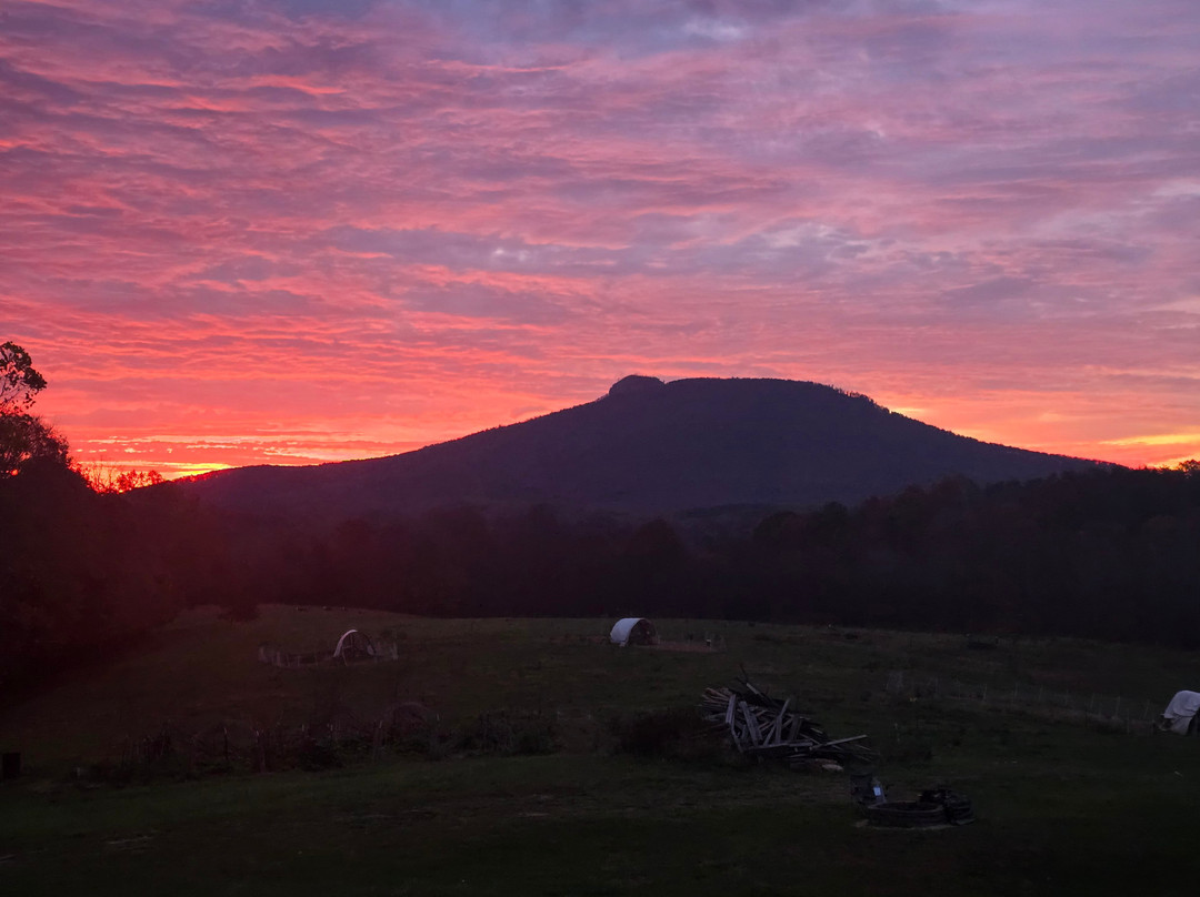 A Mighty Oak Bed & Breakfast主图