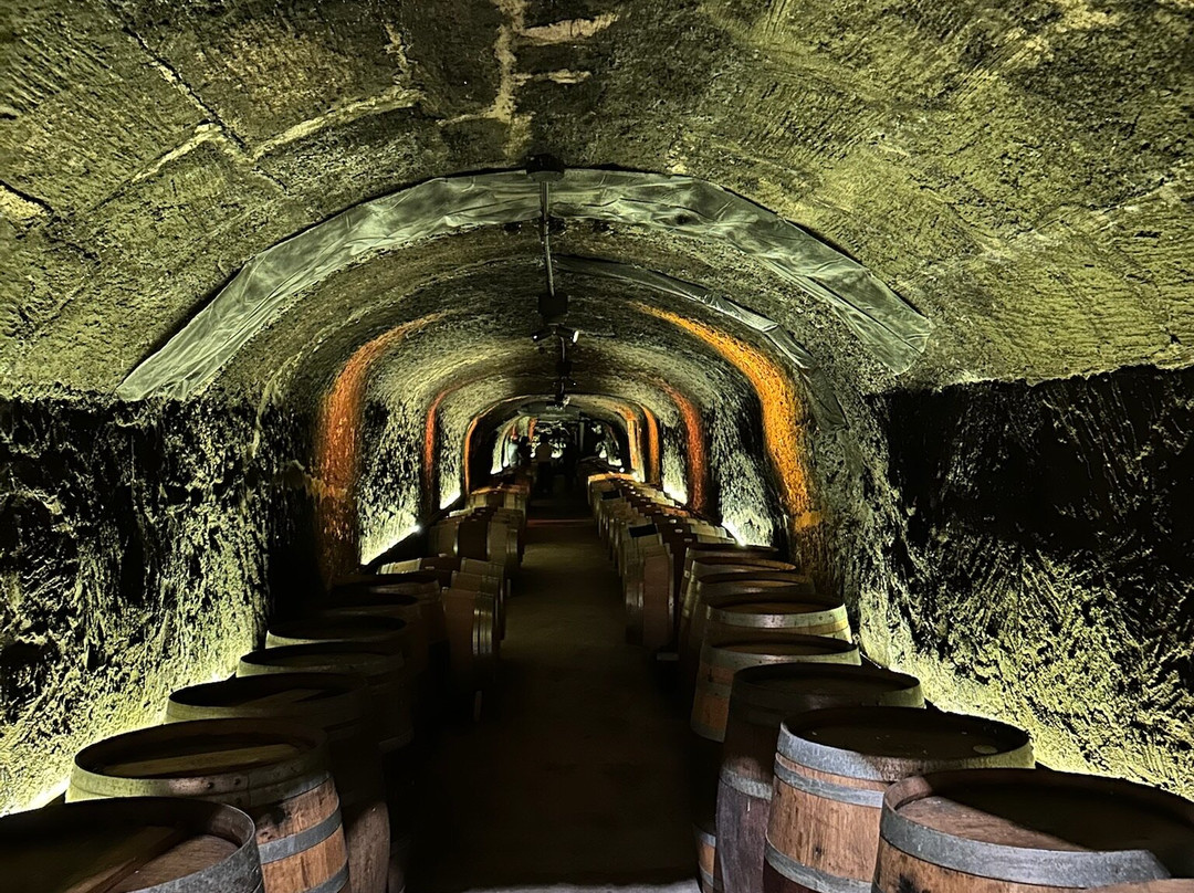 Del Dotto Estate Winery & Caves-圣海伦娜必去景点