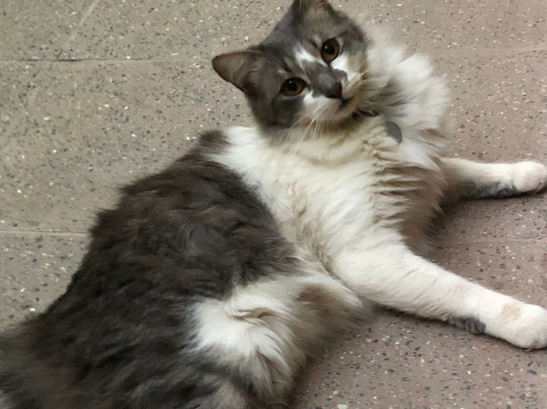 Tilcara Hostel主图