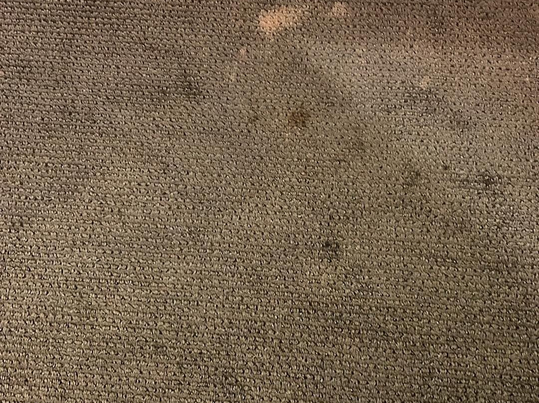 布拉德福钟楼酒店主图