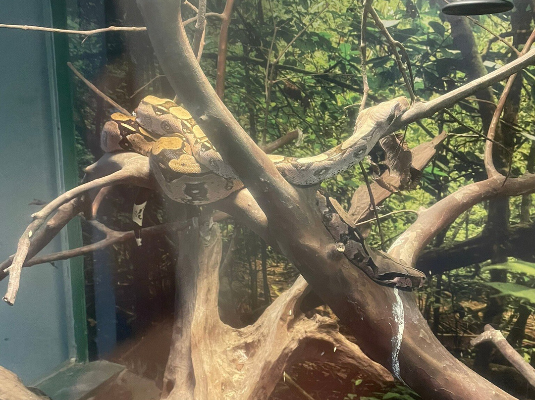 Aquario Marinho-巴拉那瓜必去景点