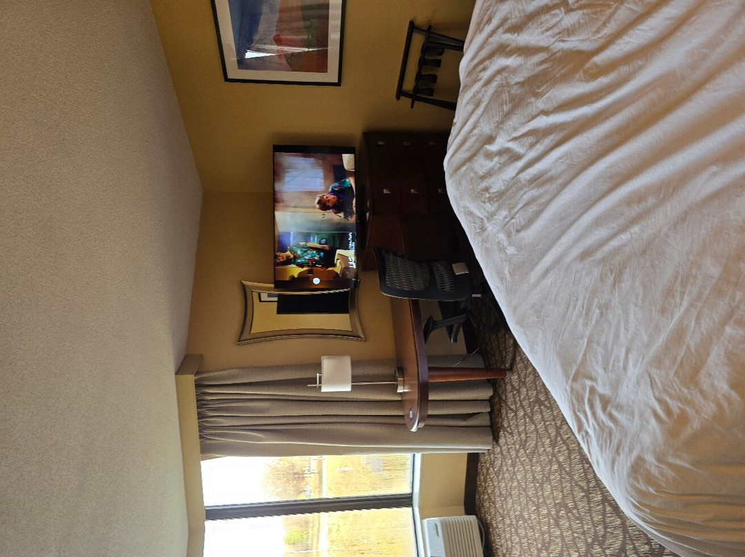 诺克斯维尔橡树岭希尔顿希尔顿逸林酒店主图