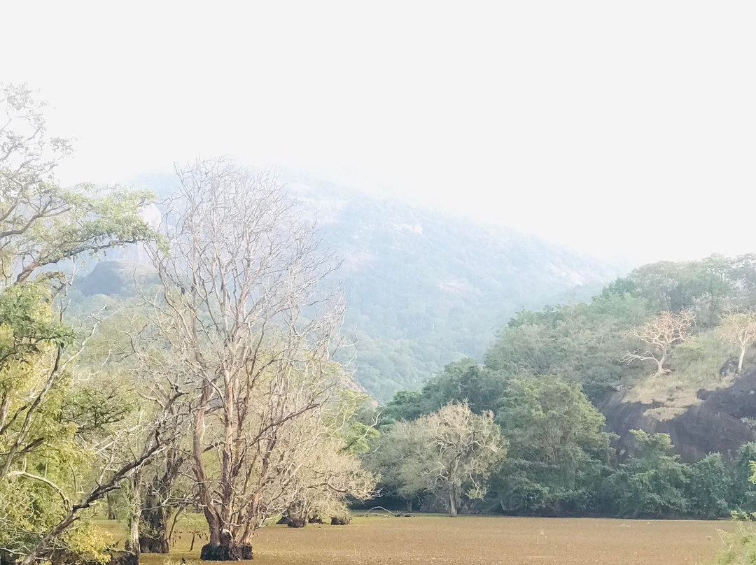 Tukbro-锡吉里亚必去景点