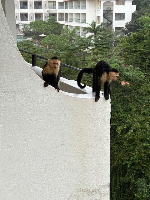 Parador Resort & Spa主图