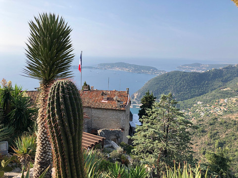 Guidedriviera Tours-尼斯必去景点