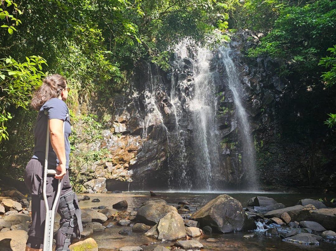 Ellinjaa Falls-Millaa Millaa必去景点