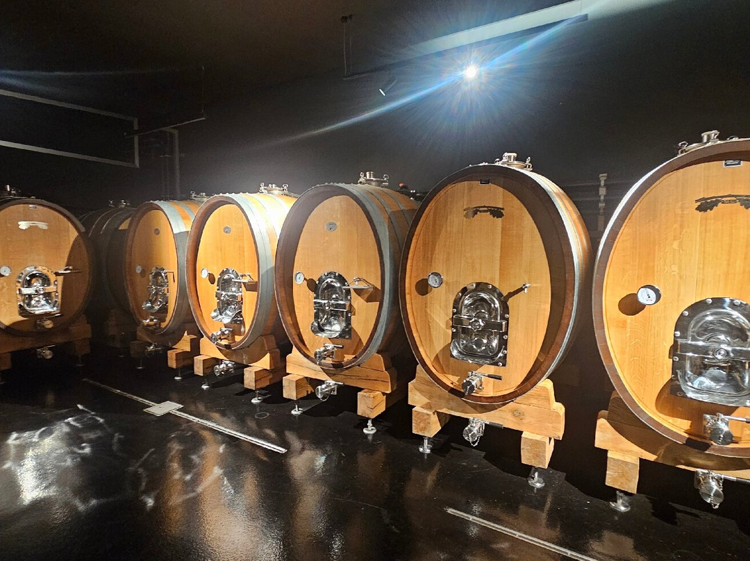 Bodegas Terras Gauda景点图片