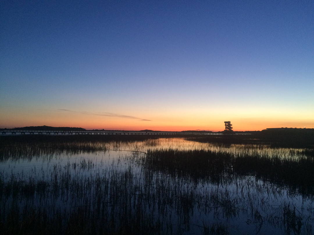 The Sands-Port Royal必去景点