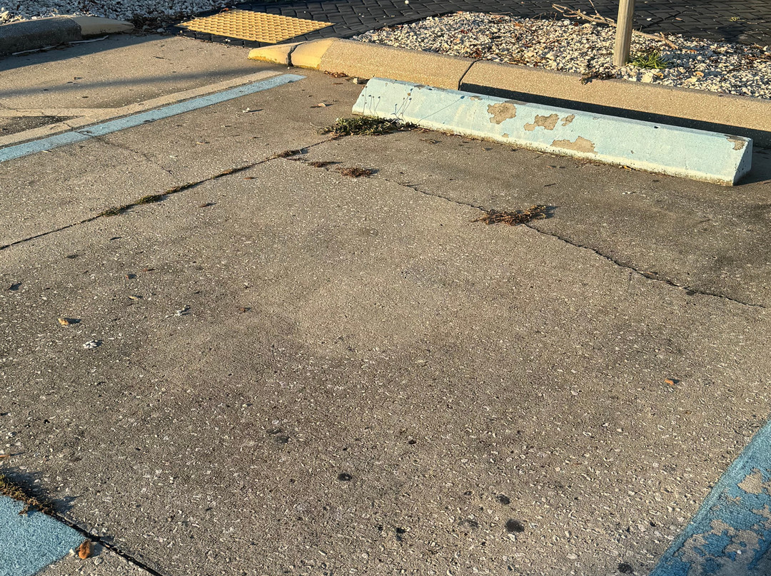 The Blend Coffee And Cocktails