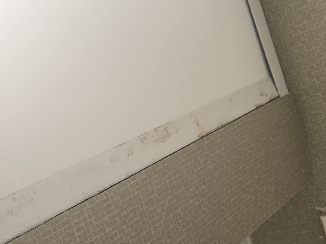 新伯尔尼希尔顿恒庭酒店主图