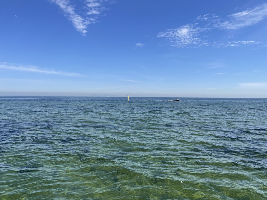 Clifton Springs Pier-Clifton Springs必去景点
