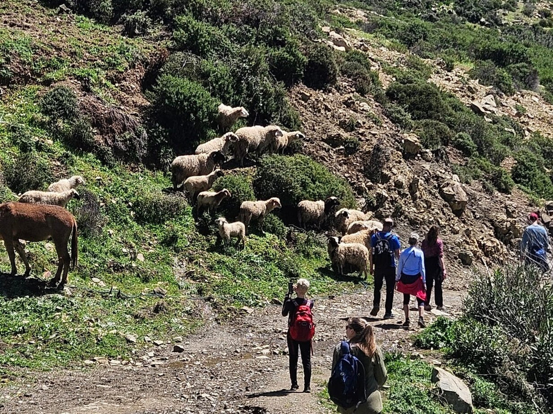 Gite Talassemtane主图