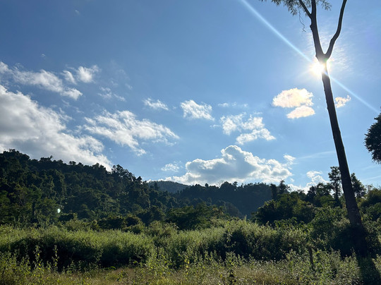 Thoulasith Guesthouse主图