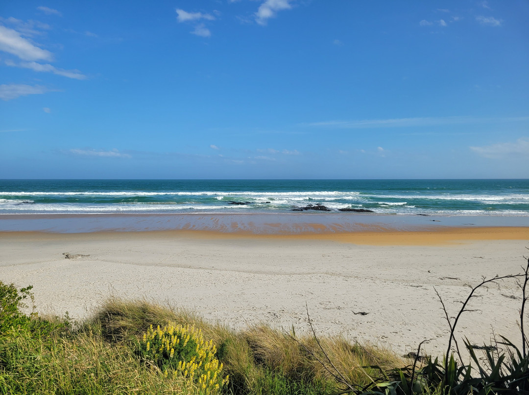 新布赖顿海滩-基督城必去景点