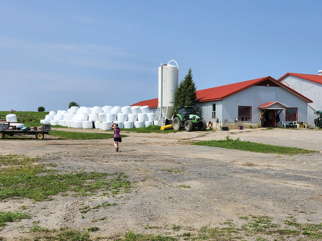 Ferme Langlois Chez Médé-Neuville必去景点