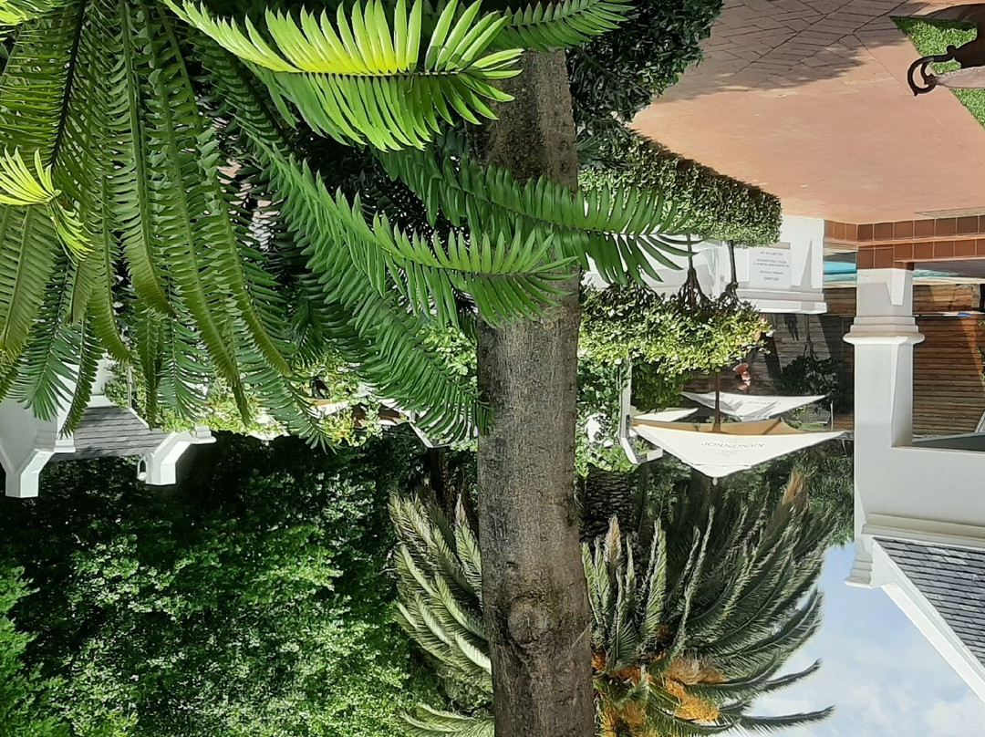 The Giglio Boutique Hotel主图