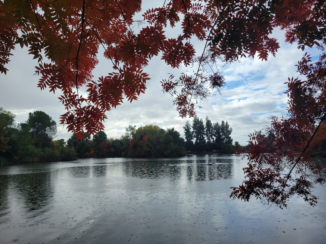 Clark Bonsai Museum-弗雷斯诺必去景点