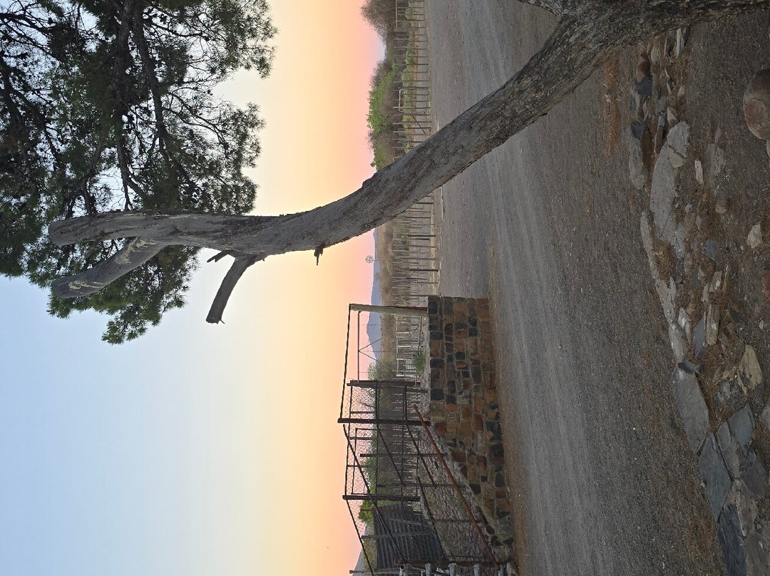 Desert Dew Guesthouse主图