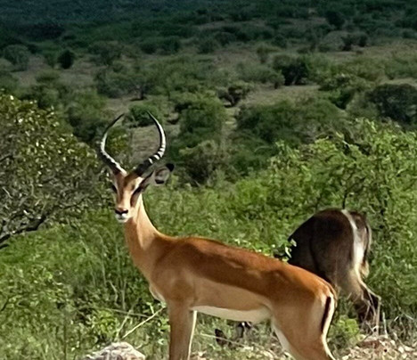 Travel Solutions Kenya-瓦塔木必去景点