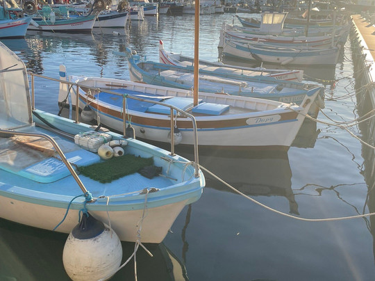 Port du Brusc-Six-Fours-les-Plages必去景点