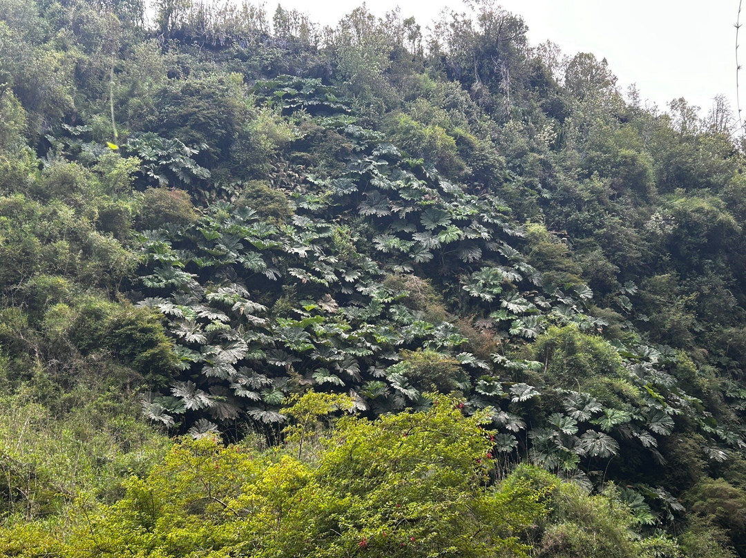 Cascadas de Tocoihue-Dalcahue必去景点