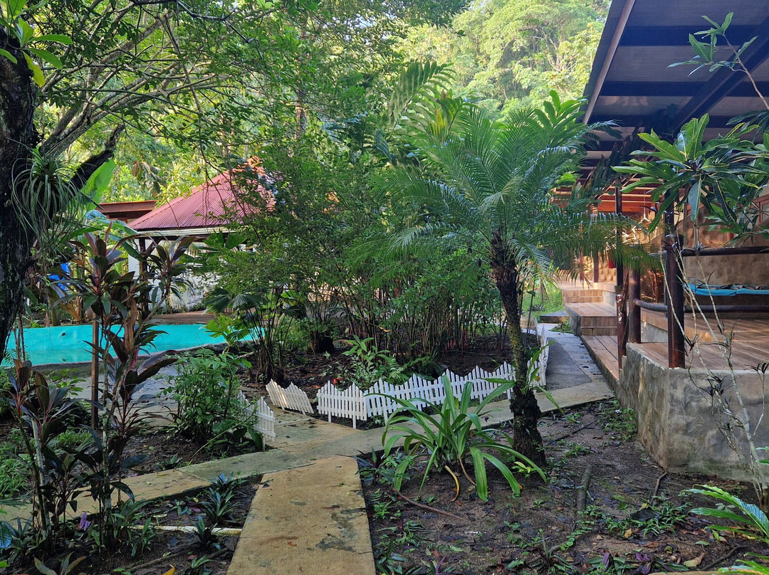 Playa Bluff Hotel主图