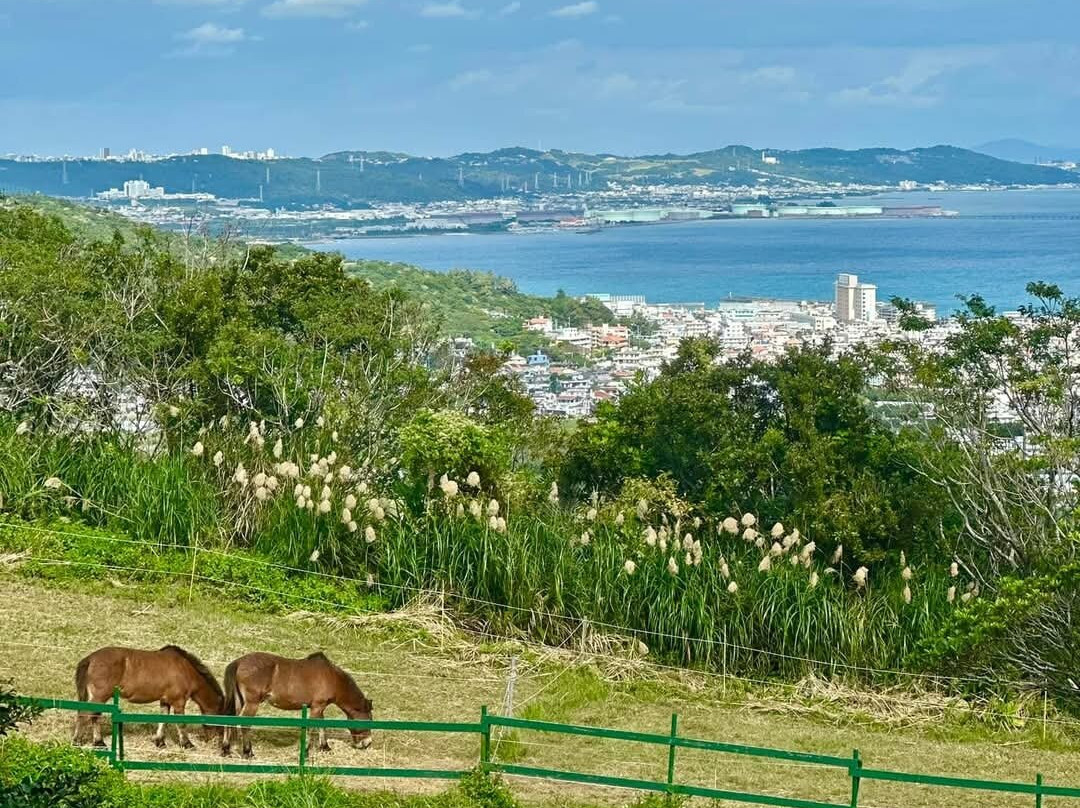 南城南条酒店主图