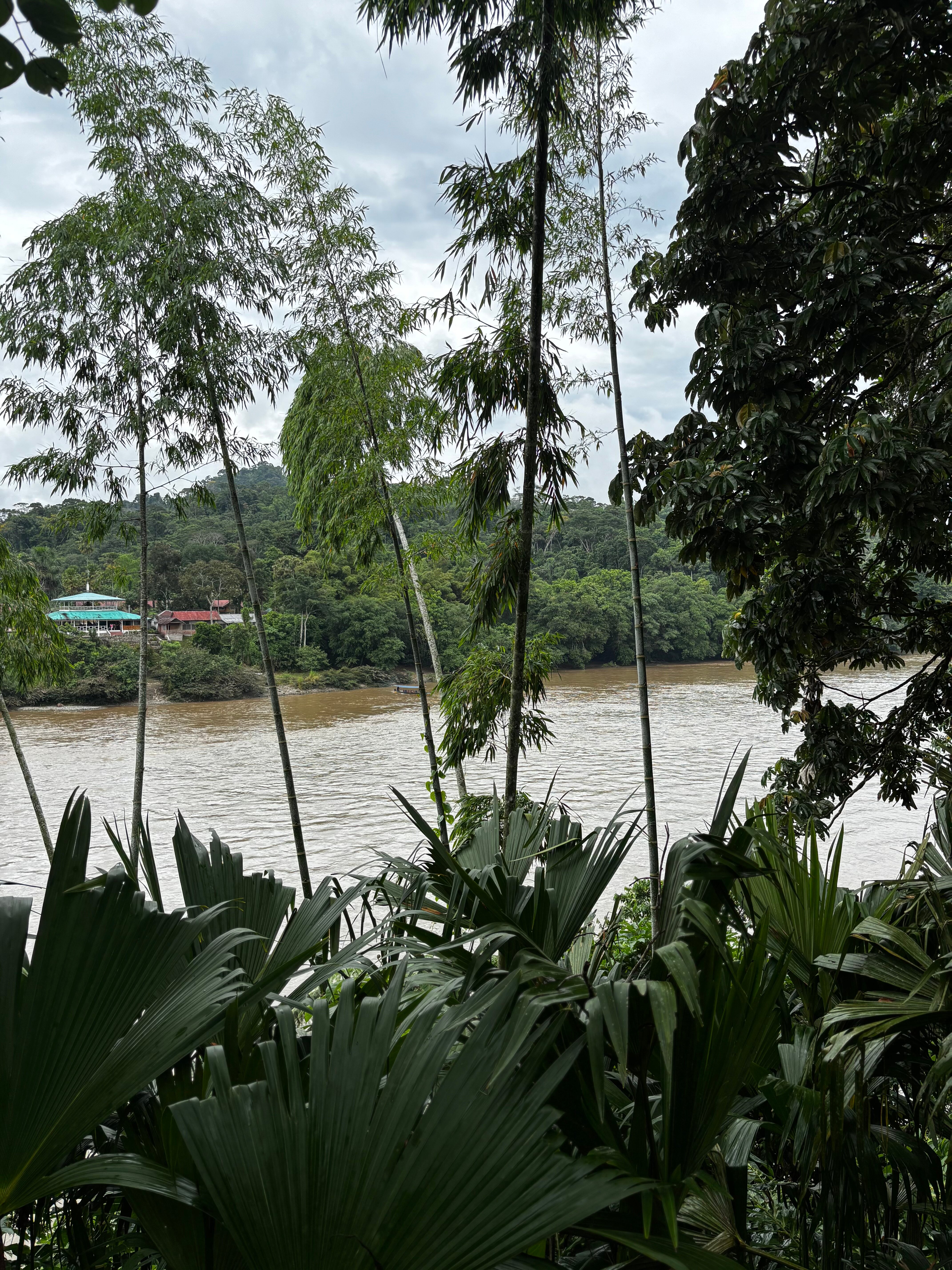 El Jardin Misahualli Lodge-官方