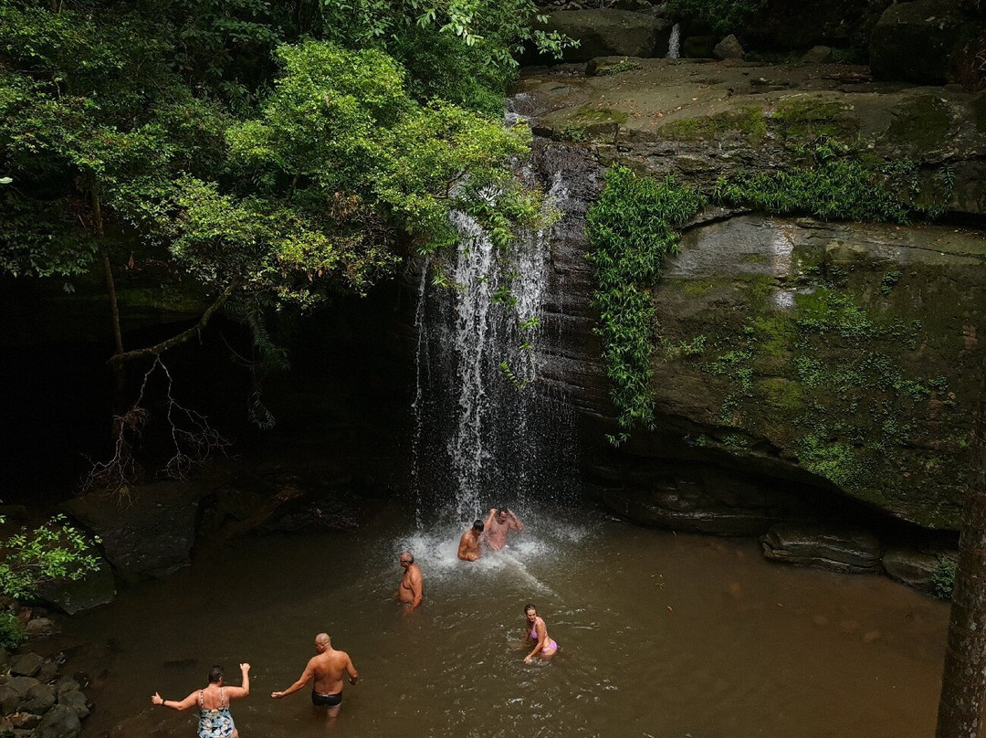 Buderim Forest Park-Buderim必去景点