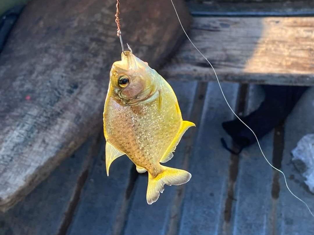 Tambopata Aguti Expedition-Tambopata National Reserve必去景点