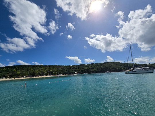 Seas the Day Charters and Tours-夏洛特阿马利亚必去景点