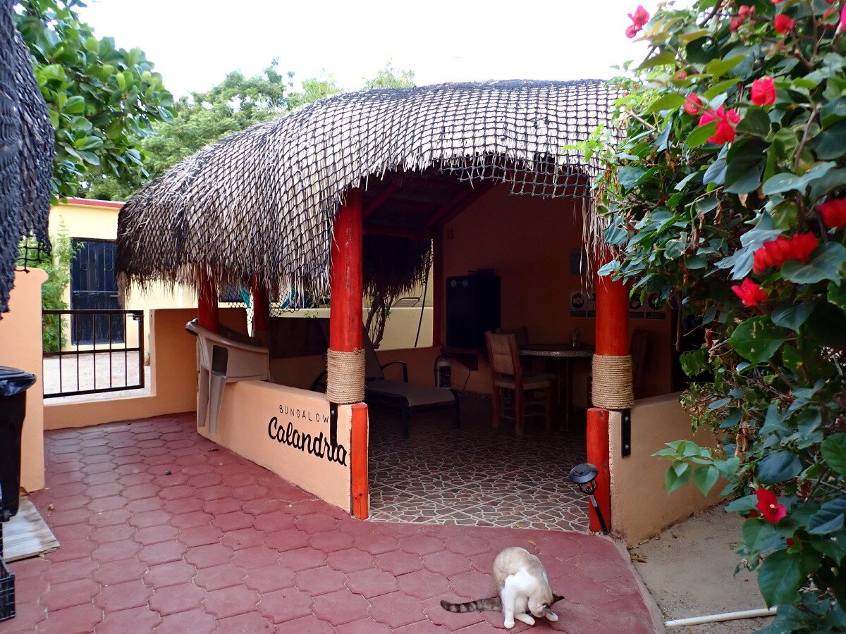 Cabo Pulmo Sports Center Bungalows-浴室