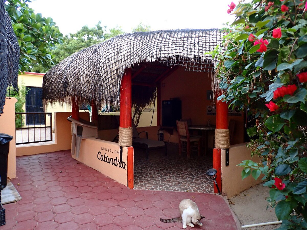 Cabo Pulmo Sports Center Bungalows主图