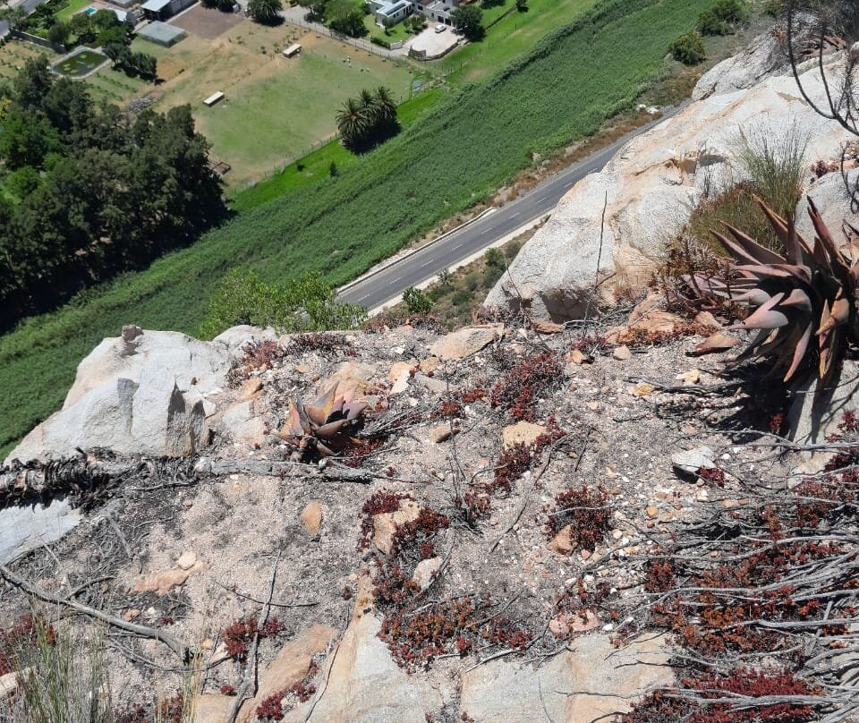 Aasvoelkraans Hiking Trail-蒙提古必去景点