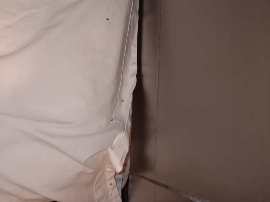 Baymont By Wyndham Brooklyn Center主图