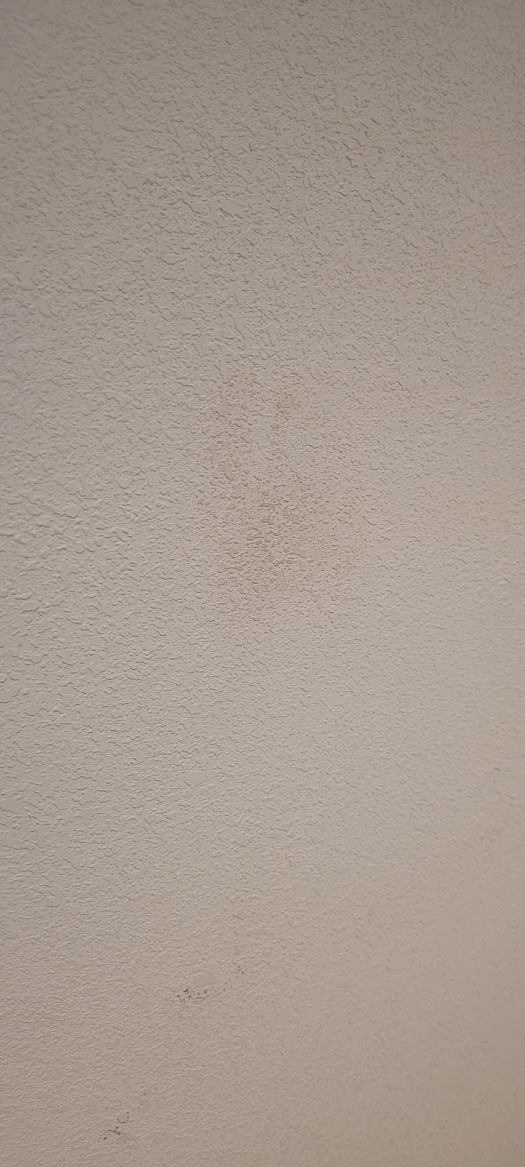 Tru by Hilton Edmonton Windermere-客卧