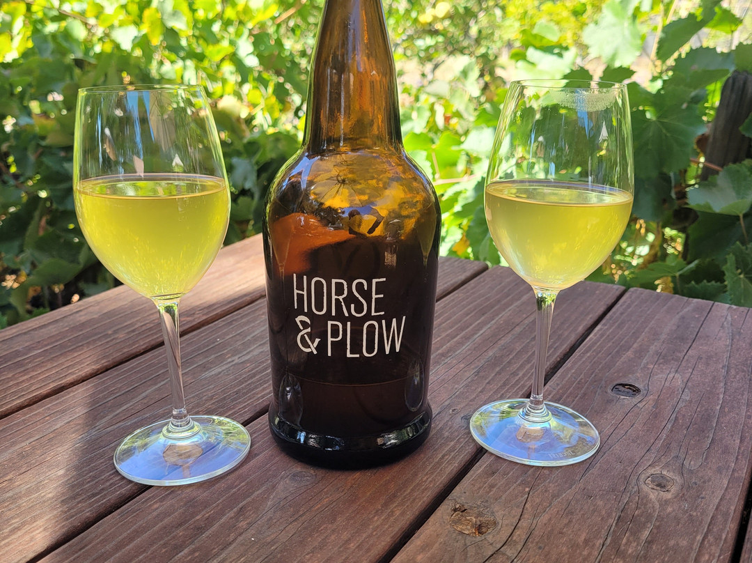 Horse & Plow景点图片