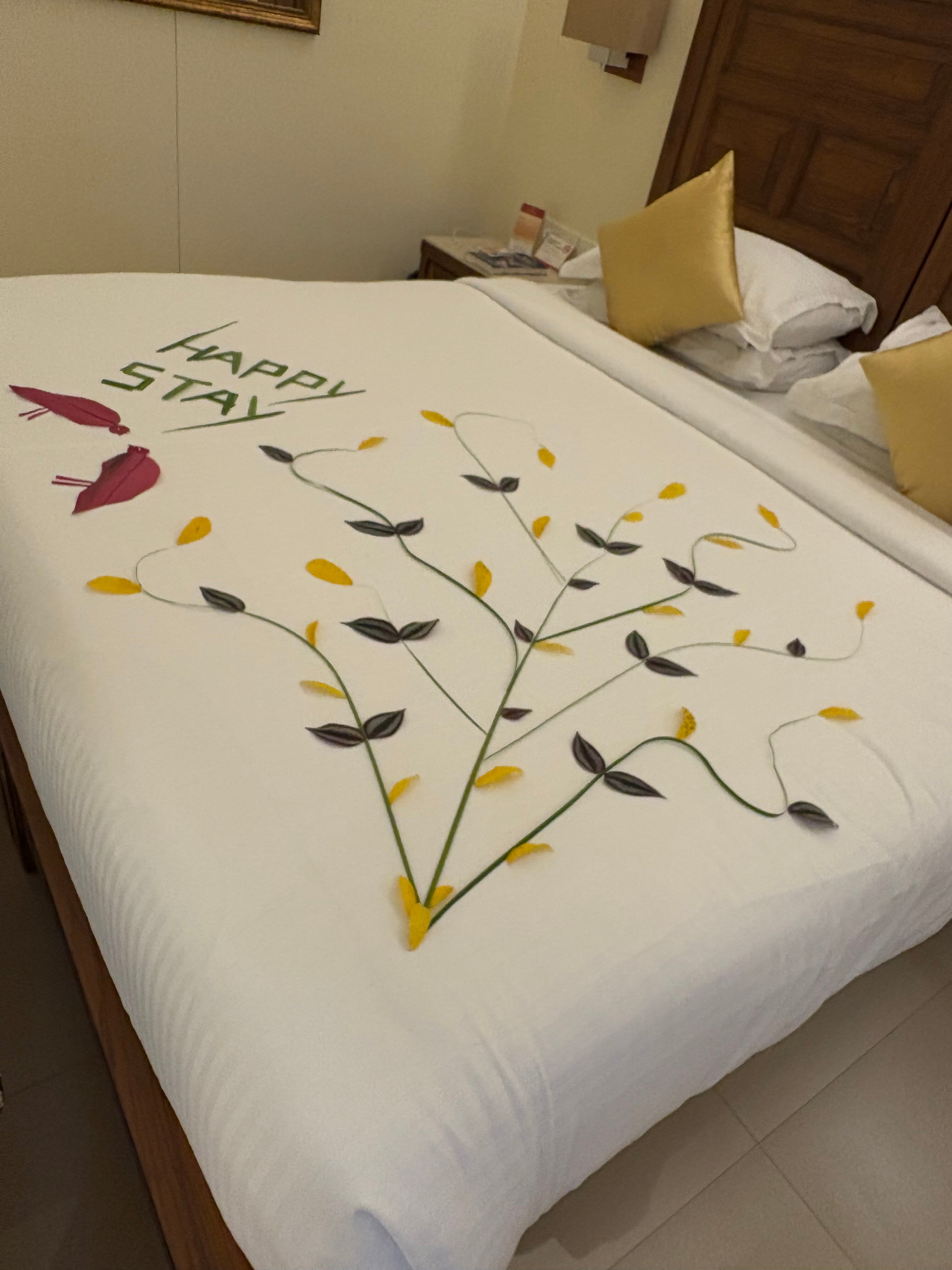 Seashell Suites and Villas-客卧